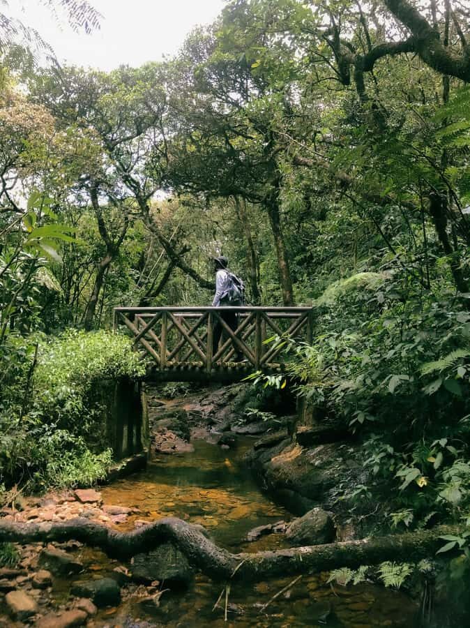 Kandy: Knuckles Mountain 2-Day Hike & Village Tour - Exploring the Itinerary in Detail