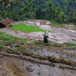 Kandy: Knuckles Mountain Range Full-Day Hike with Lunch - The Itinerary in Detail