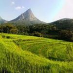 Kandy: Meemure Village Day Trip (Hidden Mountain Village) - Exploring the full tour experience