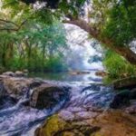 Kandy: Meemure Village Day Trip (Hidden Mountain Village) - Practical Details & Tips