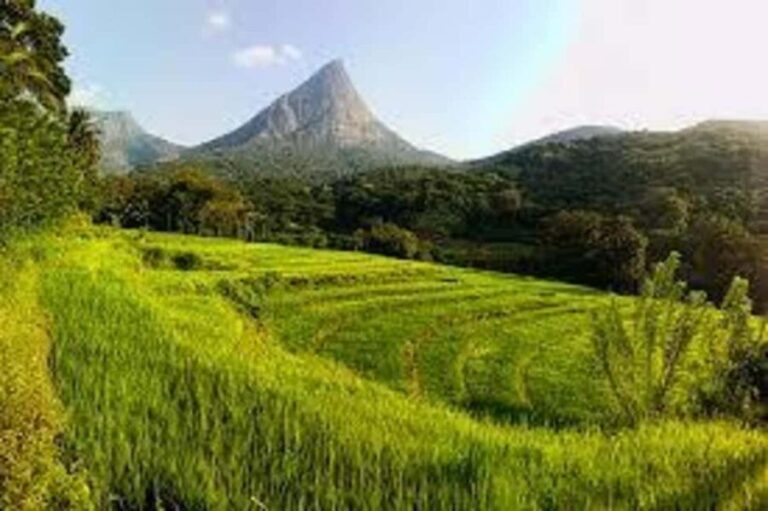 Kandy: Meemure Village Day Trip (Hidden Mountain Village) - Exploring the full tour experience