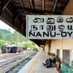Kandy: Nanu Oya Scenic First Class Railway Experience - Introduction to the Experience
