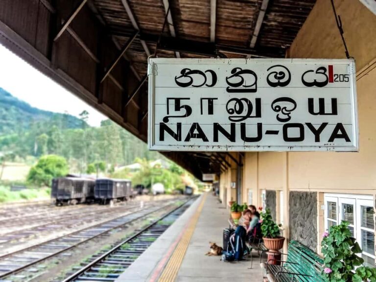 Kandy: Nanu Oya Scenic First Class Railway Experience - Introduction to the Experience