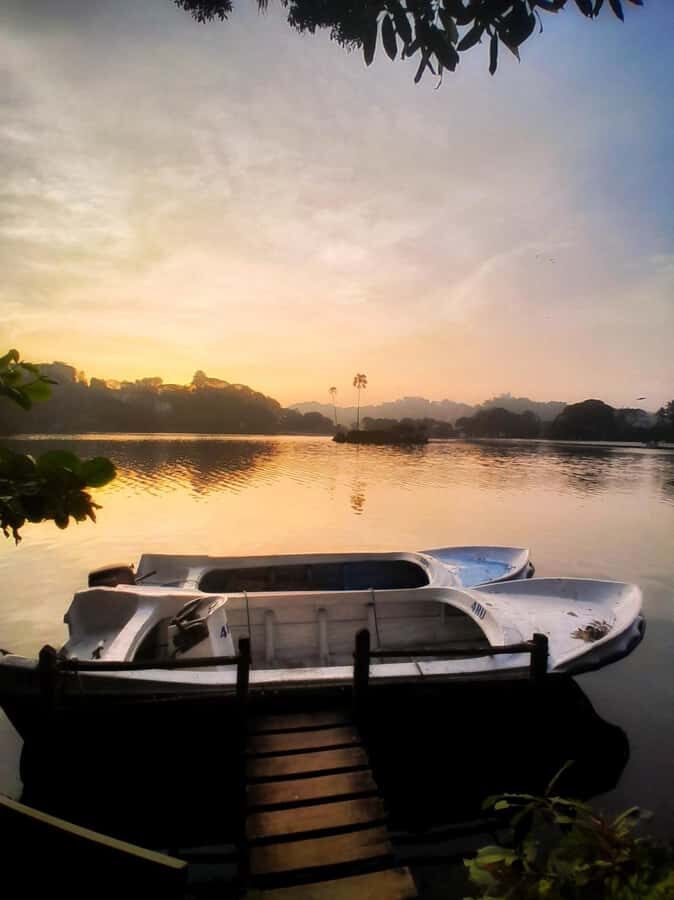 Kandy: Night Tour with Boat Safari, Cultural Show & Temples - Who Will Love This Tour?