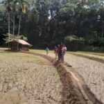 Kandy: Nutmeg Plantation Tour with Kamatha Lunch - Practical Details and Tips