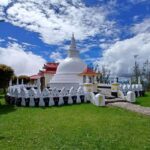 Kandy: Nuwara Eliya and Ambewela Train Station Tour - Why This Tour Delivers Great Value