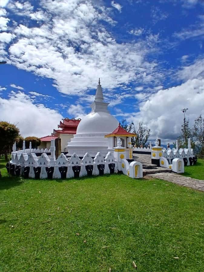 Kandy: Nuwara Eliya and Ambewela Train Station Tour - Practical Details and Tips