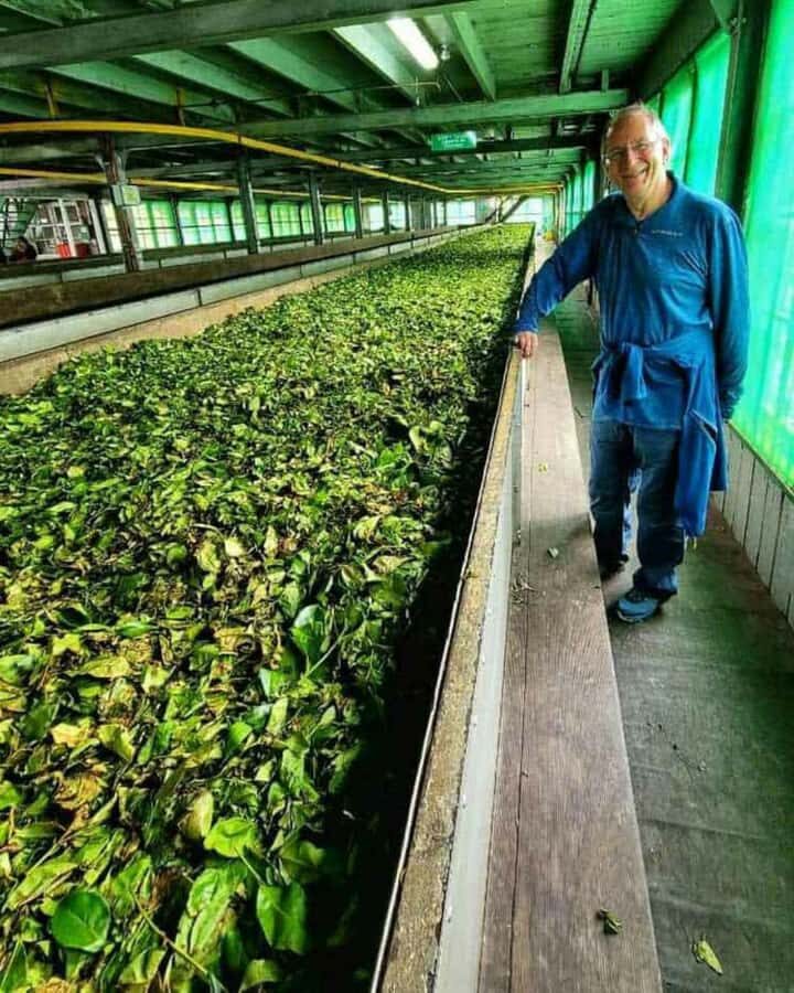 Kandy: Nuwara Eliya and Ambewela Train Station Tour - Starting in Kandy: An Early Departure  