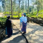 Kandy: Nuwara Eliya to Ella Tea Plantation & Waterfall Hike - Exploring Waterfalls and Natural Beauty