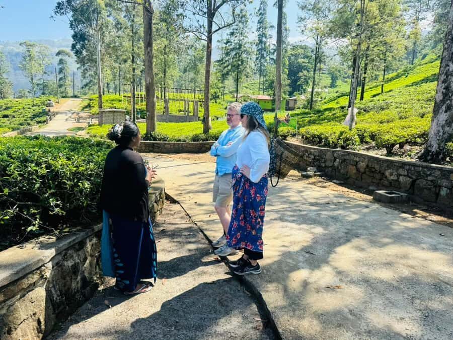 Kandy: Nuwara Eliya to Ella Tea Plantation & Waterfall Hike - Exploring Waterfalls and Natural Beauty