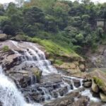 Kandy: Nuwara Eliya Transfer with Tea Factories & Falls - What Travelers Say
