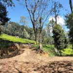 Kandy: Pekoe Trail Stage 2 Guided Hike (Galaha-Loolecondera) - Logistics and Value