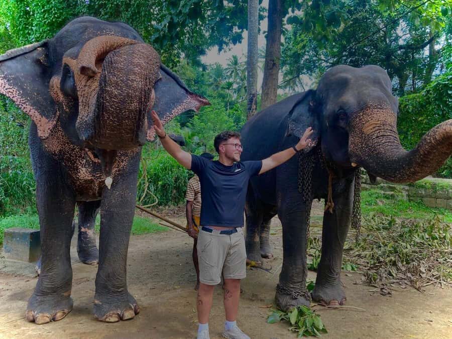 Kandy: Pinnawala & Ambuluwawa Tuk Tuk Adventure - The Itinerary in Detail