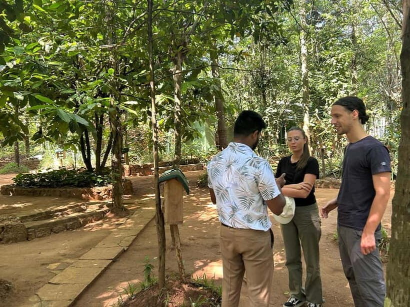 Kandy & Pinnawala Day Tour From Colombo or Negombo - Exploring the Full Day Itinerary