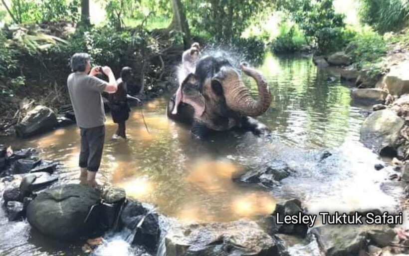Kandy : Pinnawala Elephant Safari Tour with Kandy City Tour - An In-Depth Look at the Tour Experience