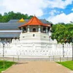 Kandy & Pinnawala & Tea Factory Full Day Tour From Negombo - The Value of This Tour