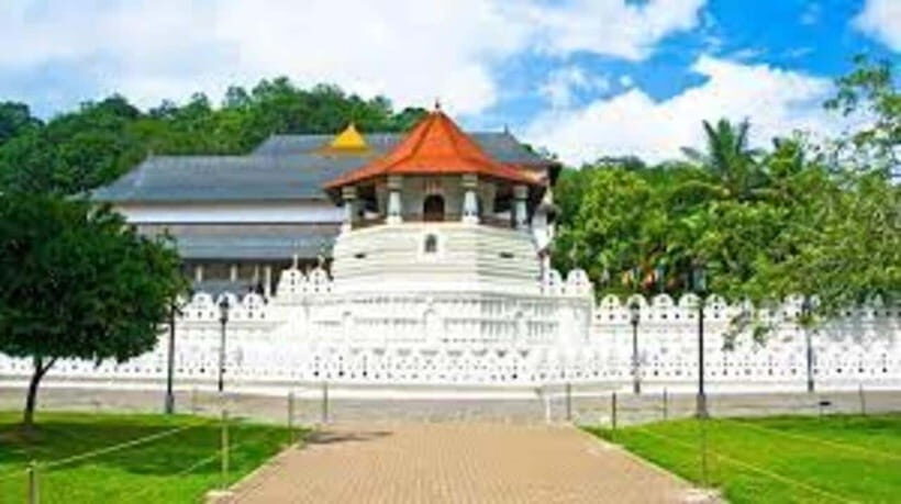 Kandy & Pinnawala & Tea Factory Full Day Tour From Negombo - The Value of This Tour