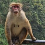 Kandy: Scenic Bus Journey - Waterfall Discovery - Who Is This Tour Best For?