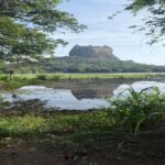 Kandy: Sigiriya & Dambulla Cave Temple Tour with Local Guide - The Authenticity and Value of the Tour