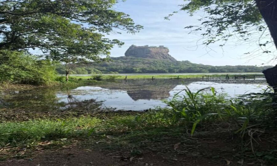 Kandy: Sigiriya & Dambulla Cave Temple Tour with Local Guide - The Authenticity and Value of the Tour