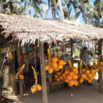 Kandy: Sigiriya Fortress & Cave Temple Full Day Private Tour - What Makes This Tour Stand Out