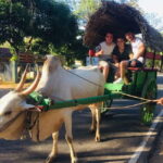 Kandy : Sigiriya Guided Day Tour By Tuk Tuk - The Itinerary Breakdown