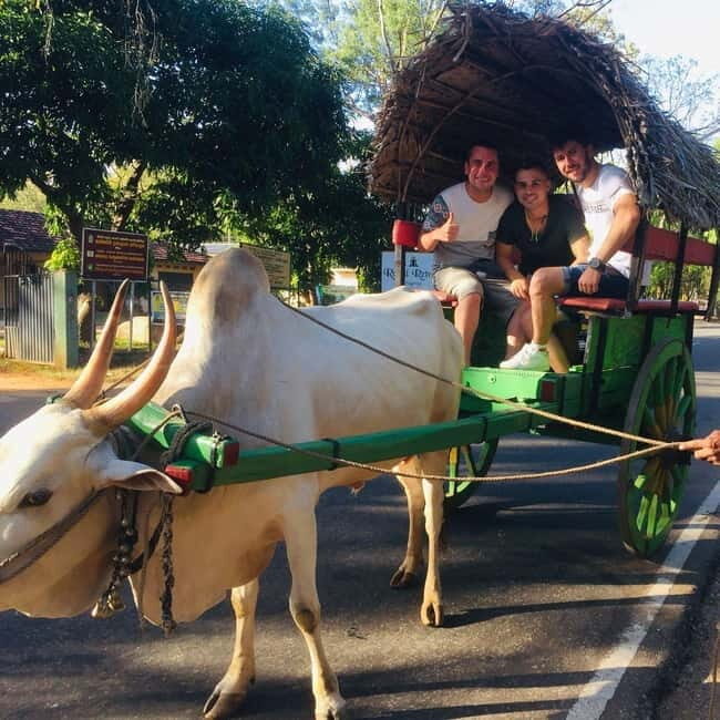 Kandy : Sigiriya Guided Day Tour By Tuk Tuk - The Itinerary Breakdown