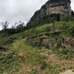 Kandy: Sir James Taylors Loolkandura Tea Heritage Hike - Why This Tour Offers Great Value