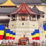 Kandy: Temple of Tooth, Train Ride, & Cave Waterfall Tour - What Sets This Tour Apart?