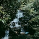 Kandy: Thunhisgala Mountain 2-Day Guided Hike & Camping - An In-Depth Look at the Thunhisgala Mountain Trek