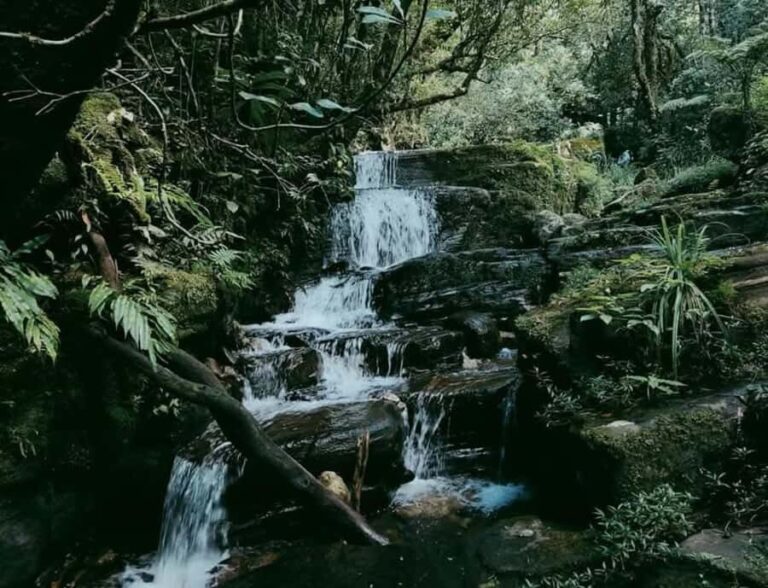 Kandy: Thunhisgala Mountain 2-Day Guided Hike & Camping - An In-Depth Look at the Thunhisgala Mountain Trek