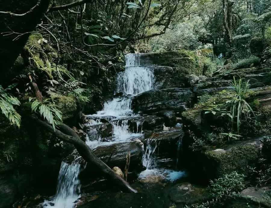 Kandy: Thunhisgala Mountain 2-Day Guided Hike & Camping - An In-Depth Look at the Thunhisgala Mountain Trek