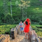 Kandy to Nanu Oya Shuttle & Nuwara Eliya Sightseeing Tour - Who Will Love This Tour?
