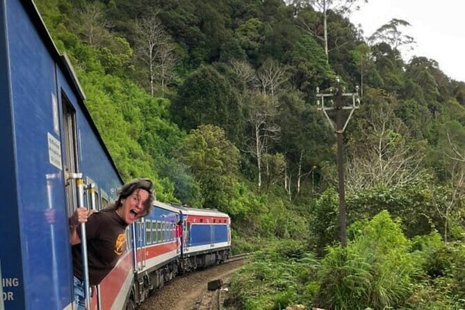 Kandy to Nanuoya (Nuwaraeliya) by Train - Reserved Seats - Seating Options and Comfort