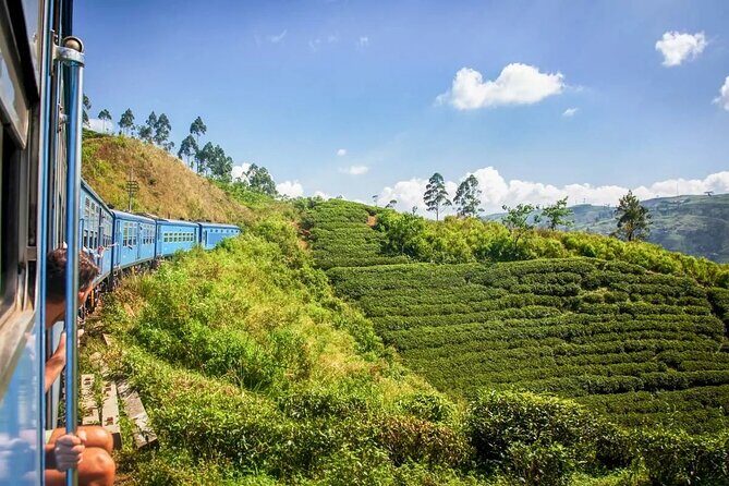 Kandy to Nuwara Eliya Day Tour - Who Should Consider This Tour?