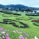 Kandy to Nuwara Eliya Guided Day Tour by Local - Who Is This Tour Best For?