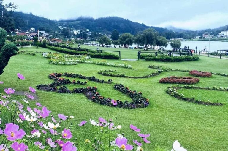 Kandy to Nuwara Eliya Guided Day Tour by Local - Who Is This Tour Best For?