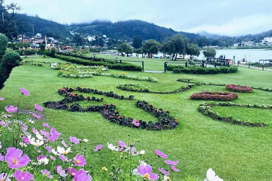 Kandy to Nuwara Eliya Guided Day Tour by Local - Who Is This Tour Best For?