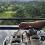 Kandy to Nuwara Eliya Private Day Tour: Tea Factory& Gregory Lake - A Closer Look at the Itinerary
