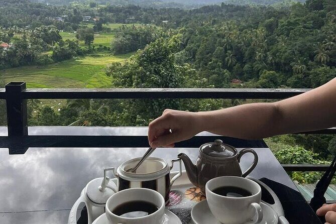 Kandy to Nuwara Eliya Private Day Tour: Tea Factory& Gregory Lake - A Closer Look at the Itinerary
