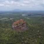 Kandy to Sigiriya Dambulla and Safari Private Day Tour - Who Is This Tour Best For?