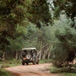 Kandy to Wilpattu Day Tour - Visiting Famous Places - An In-Depth Look at the Experience