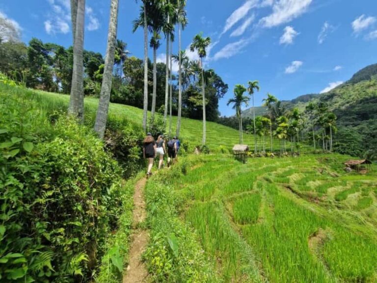 Kandy: Traditional Village Tour with Authentic Experience - Exploring the Village and Its Surroundings