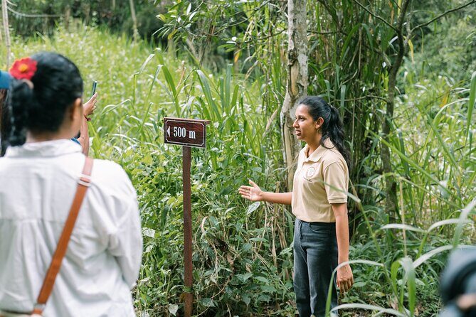Kandy Yahalatenna Walking Coffee Class Activity - Why This Tour Represents Good Value