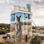 Kangaroo Island Half-Day Tour - Things to Consider