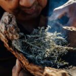 Kangaroo Island: Indigenous Day Tour - Wildlife Encounters on the Move