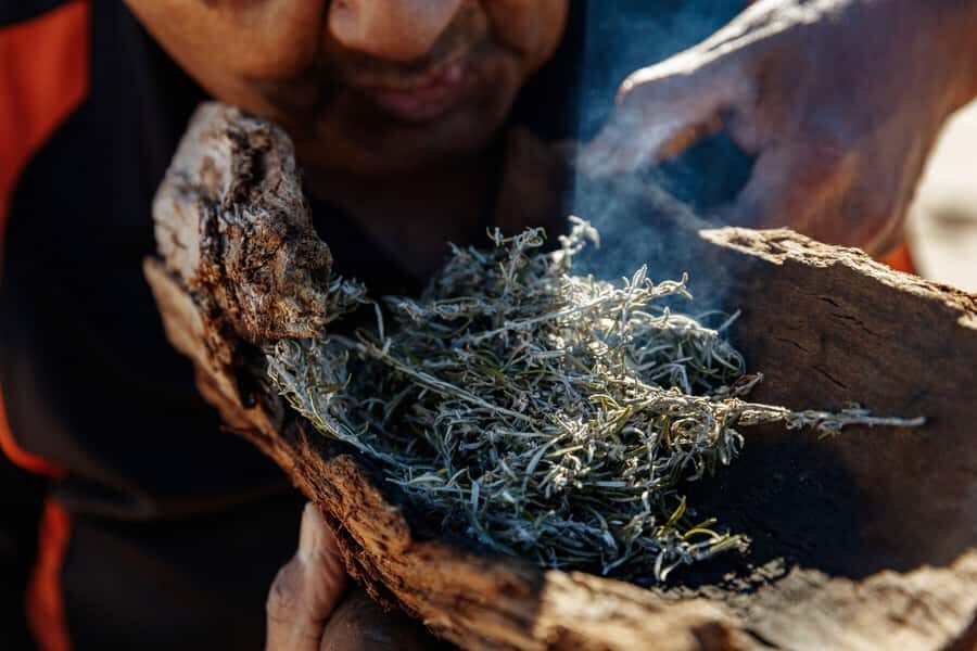 Kangaroo Island: Indigenous Day Tour - Wildlife Encounters on the Move