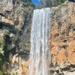 Kangaroos, 6 Springbrook Waterfalls and Natural Bridge Day Tour - The Iconic Natural Bridge and Canyon Lookout