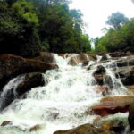 Kanneliya Rain Forest Tour - The Sum Up