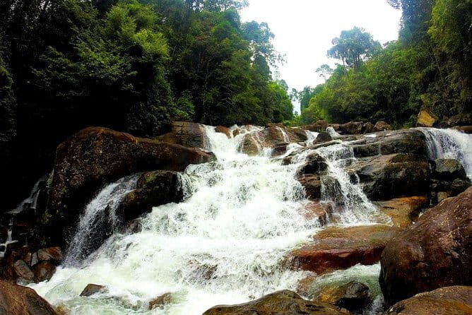 Kanneliya Rain Forest Tour - The Sum Up